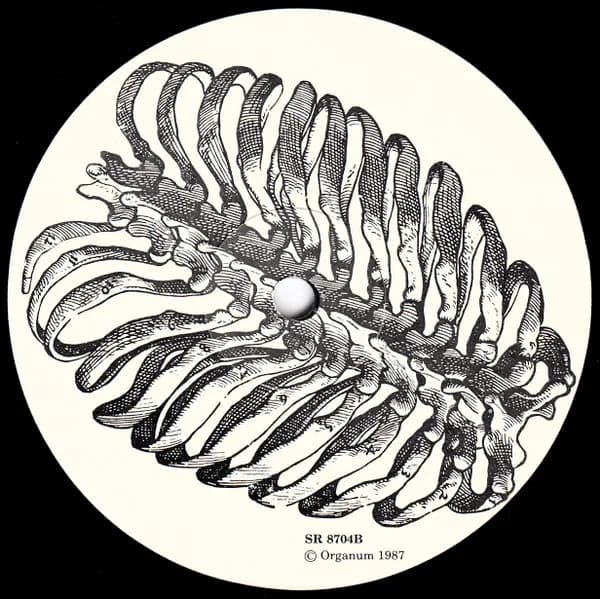 Eddie Prévost / Organum — Flayed / Crux