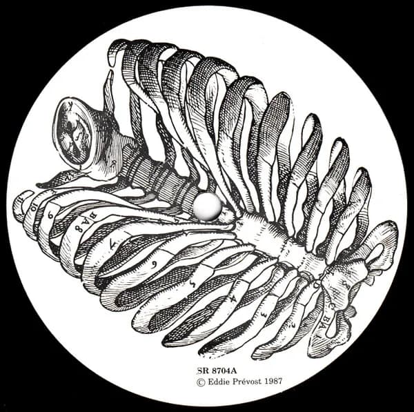 Eddie Prévost / Organum — Flayed / Crux