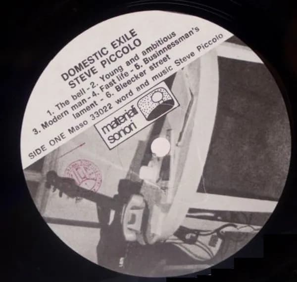 Steve Piccolo — Domestic Exile