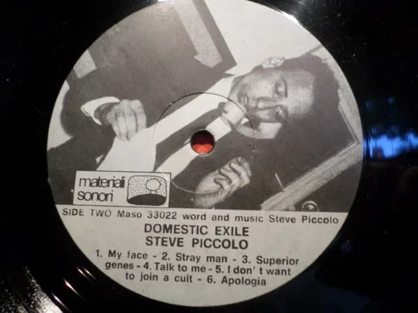 Steve Piccolo — Domestic Exile
