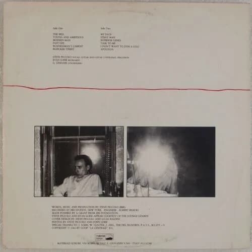 Steve Piccolo — Domestic Exile