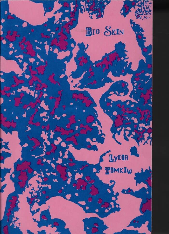 booklet to Big Skin (Lydia Tomkiw)