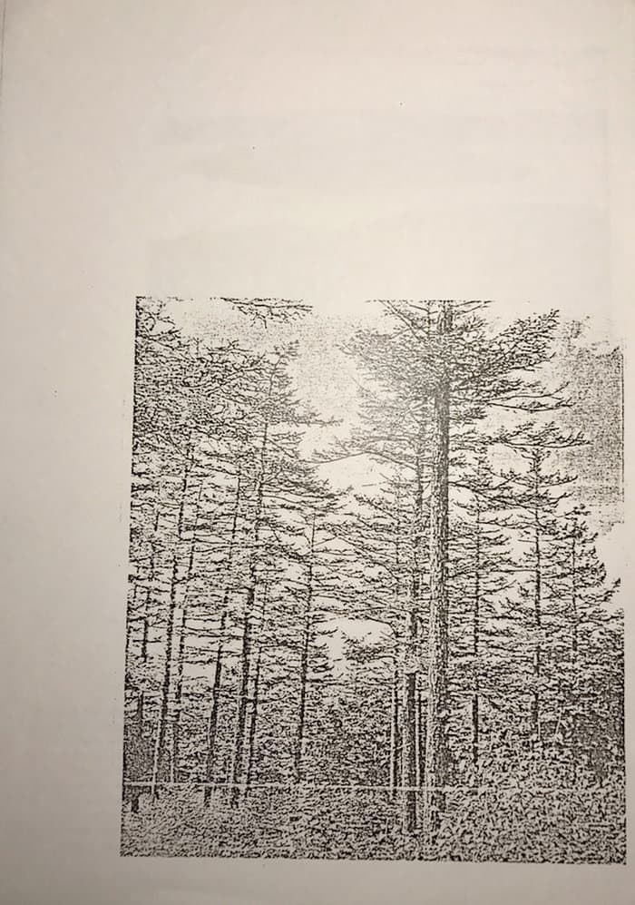 Sepia Reminiscene