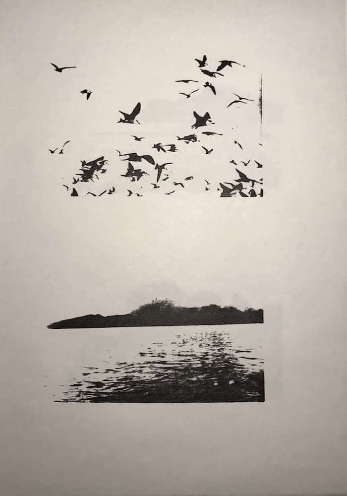 New Horizon