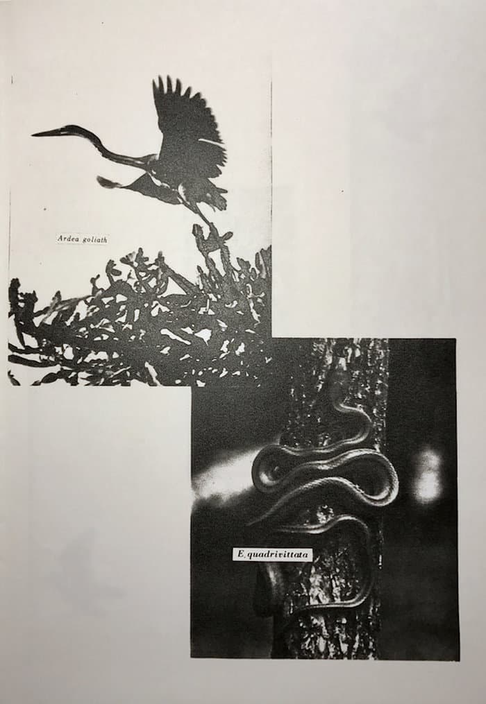 Verticle Music