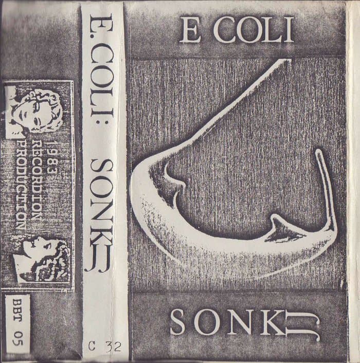 Sonk JJ