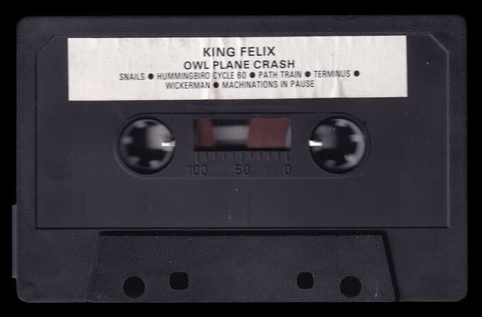 Owl Plane Crash