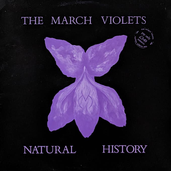 Natural History