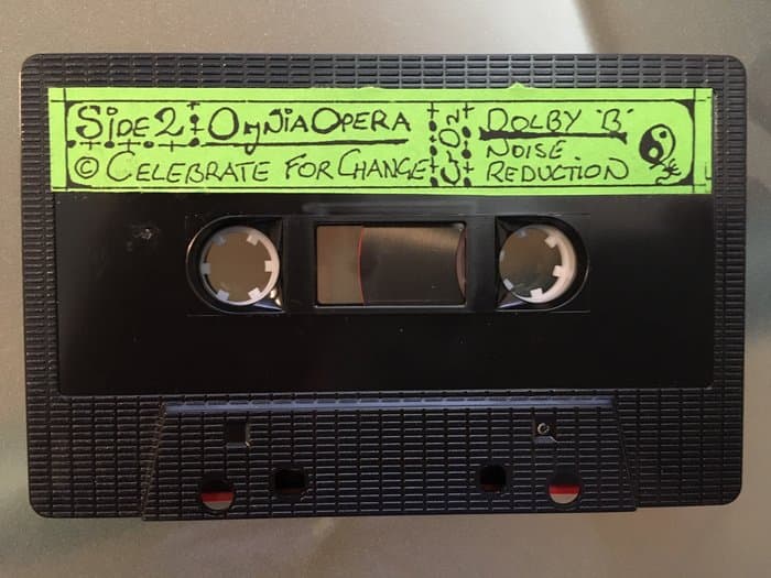 Celebrate Fro Change