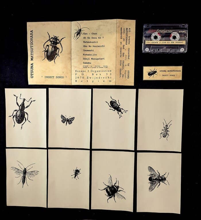 Insect Songs