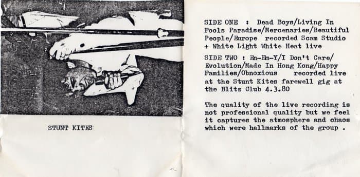 Stunt Kites