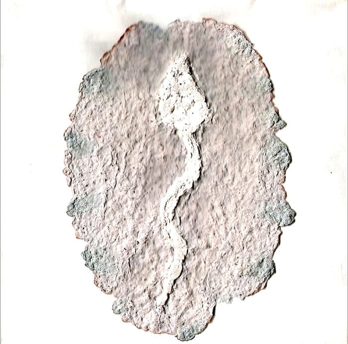 Sperm + Egg