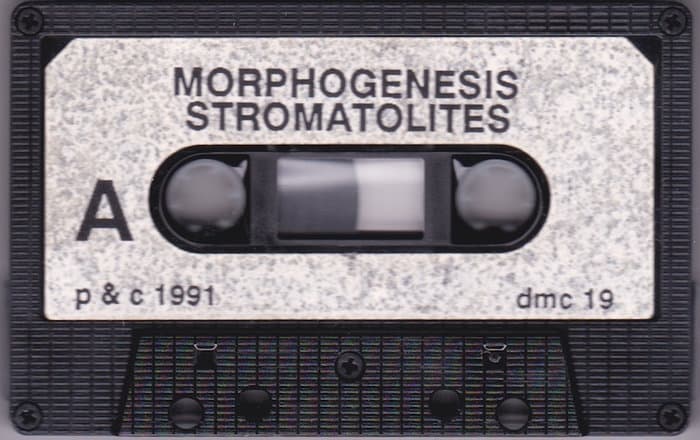 Stromatolites