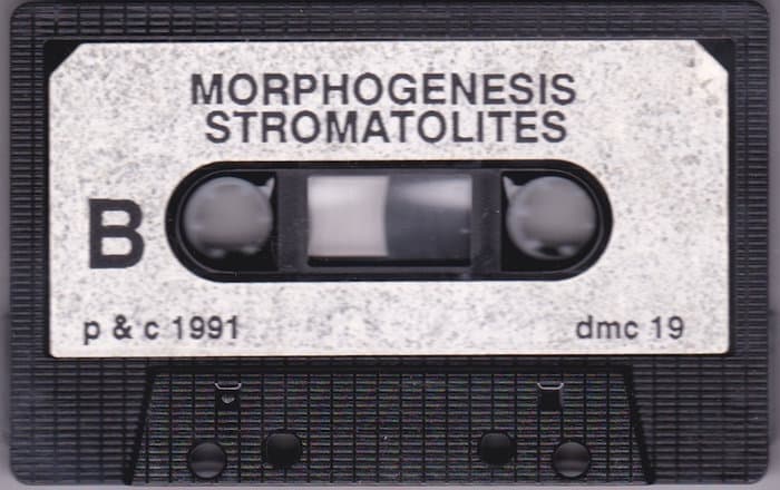 Stromatolites