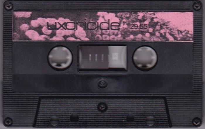 Gravamina For Uxoricide